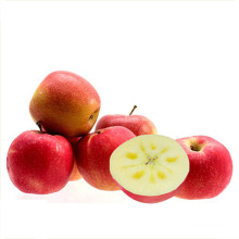 wholesale Best quality Jiguan fresh apple